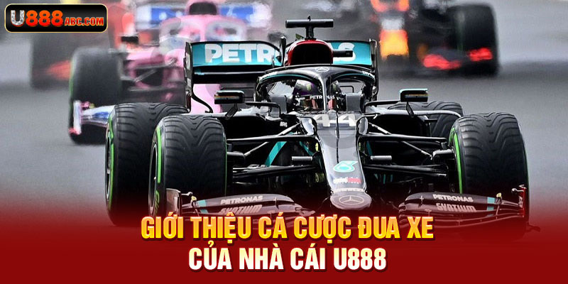 Giới thiệu cá cược đua xe của nhà cái