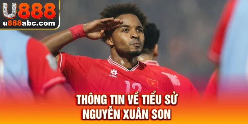 Thông tin về tiểu sử Nguyễn Xuân Son
