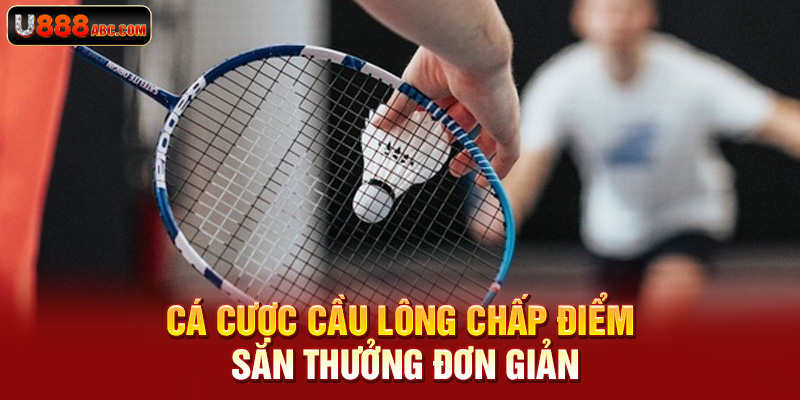 Cá cược cầu lông chấp điểm săn thưởng đơn giản