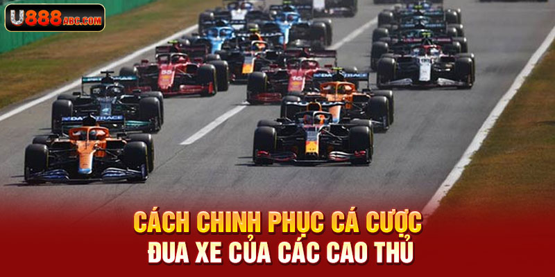 Cách chinh phục cá cược đua xe đỉnh nhất dành cho bạn