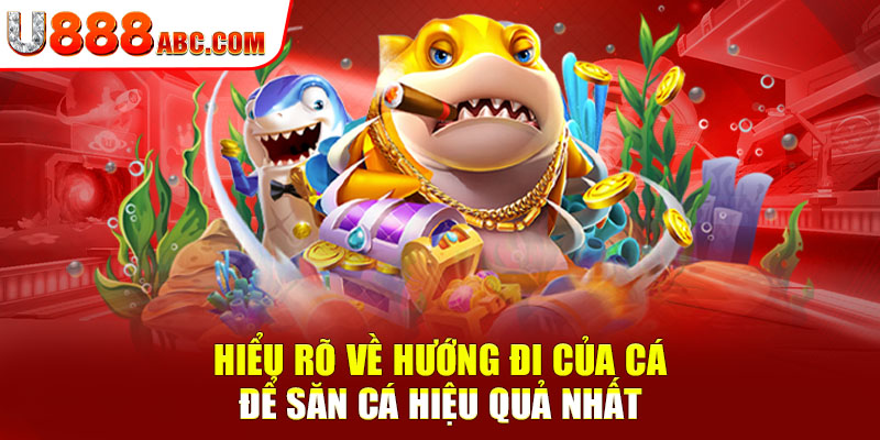 Hiểu rõ về hướng đi của cá để săn cá hiệu quả nhất